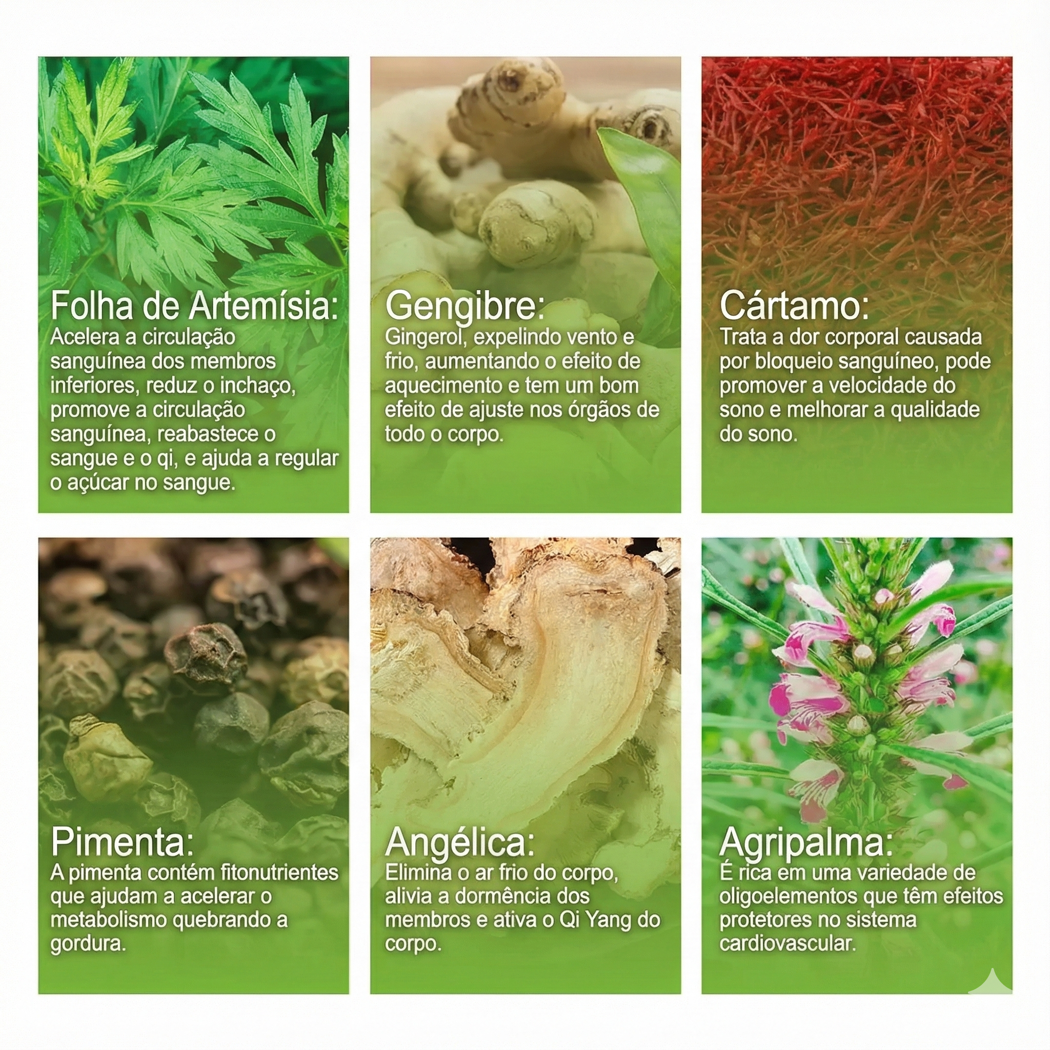 Kit – Cuidado Íntimo, Firmador, Alívio Para Varizes e Emagrecedor